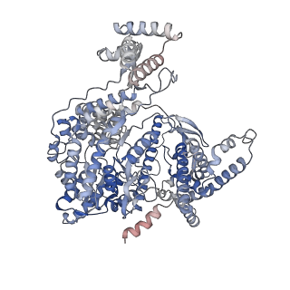 15662_8att_A_v1-3
Cryo-EM structure of yeast mitochondrial RNA polymerase transcription initiation complex with 4-mer RNA, pppGpGpUpA (IC4)