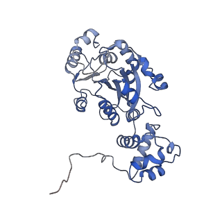 15662_8att_B_v1-3
Cryo-EM structure of yeast mitochondrial RNA polymerase transcription initiation complex with 4-mer RNA, pppGpGpUpA (IC4)