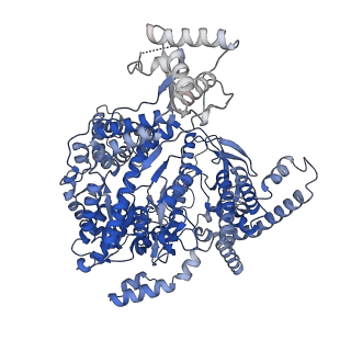 15664_8atv_A_v1-3
Cryo-EM structure of yeast mitochondrial RNA polymerase transcription initiation complex with 5-mer RNA, pppGpGpApApA (IC5)