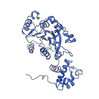 15664_8atv_B_v1-3
Cryo-EM structure of yeast mitochondrial RNA polymerase transcription initiation complex with 5-mer RNA, pppGpGpApApA (IC5)