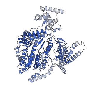 15665_8atw_A_v1-3
Cryo-EM structure of yeast mitochondrial RNA polymerase transcription initiation complex with 6-mer RNA, pppGpGpApApApU (IC6)
