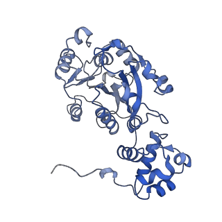 15665_8atw_B_v1-3
Cryo-EM structure of yeast mitochondrial RNA polymerase transcription initiation complex with 6-mer RNA, pppGpGpApApApU (IC6)