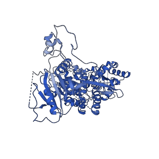 11926_7aua_A_v1-1
Cryo-EM structure of human exostosin-like 3 (EXTL3) in complex with UDP