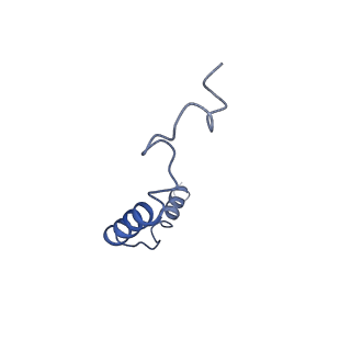 11927_7aue_G_v1-1
Melanocortin receptor 4 (MC4R) Gs protein complex