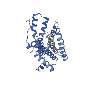 11927_7aue_R_v1-1
Melanocortin receptor 4 (MC4R) Gs protein complex