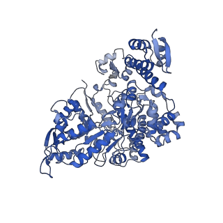 7006_6aui_A_v1-3
Human ribonucleotide reductase large subunit (alpha) with dATP and CDP