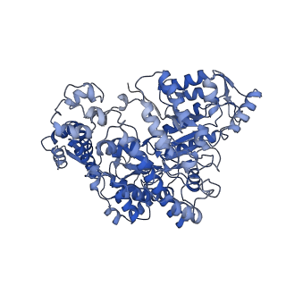 7006_6aui_B_v1-3
Human ribonucleotide reductase large subunit (alpha) with dATP and CDP