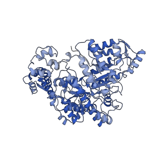 7006_6aui_B_v1-4
Human ribonucleotide reductase large subunit (alpha) with dATP and CDP