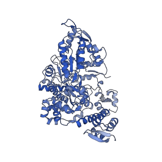 7006_6aui_C_v1-3
Human ribonucleotide reductase large subunit (alpha) with dATP and CDP