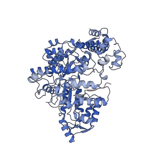 7006_6aui_D_v1-3
Human ribonucleotide reductase large subunit (alpha) with dATP and CDP