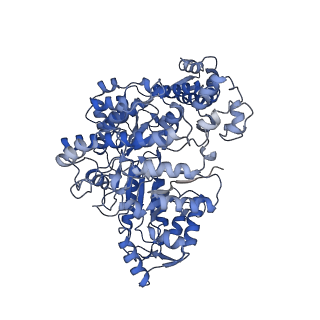 7006_6aui_D_v1-4
Human ribonucleotide reductase large subunit (alpha) with dATP and CDP