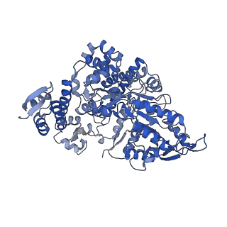 7006_6aui_E_v1-3
Human ribonucleotide reductase large subunit (alpha) with dATP and CDP