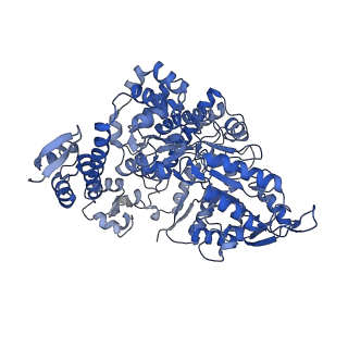 7006_6aui_E_v1-4
Human ribonucleotide reductase large subunit (alpha) with dATP and CDP