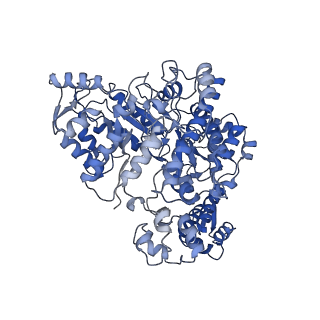 7006_6aui_F_v1-3
Human ribonucleotide reductase large subunit (alpha) with dATP and CDP