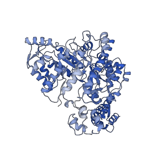 7006_6aui_F_v1-4
Human ribonucleotide reductase large subunit (alpha) with dATP and CDP