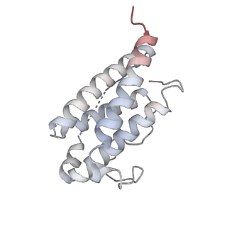 15677_8avb_A_v1-3
Cryo-EM structure for mouse leptin in complex with the mouse LEP-R ectodomain (1:2 mLEP:mLEPR model).
