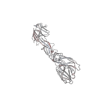 15677_8avb_B_v1-3
Cryo-EM structure for mouse leptin in complex with the mouse LEP-R ectodomain (1:2 mLEP:mLEPR model).