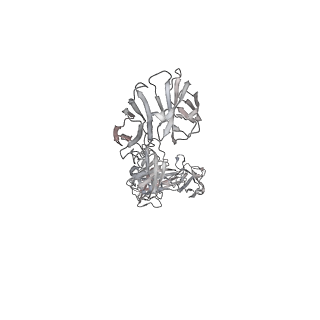 15677_8avb_F_v1-3
Cryo-EM structure for mouse leptin in complex with the mouse LEP-R ectodomain (1:2 mLEP:mLEPR model).