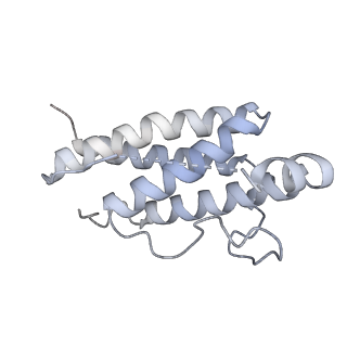 15678_8avc_A_v1-1
Mouse leptin:LEP-R complex cryoEM structure (3:3 model)