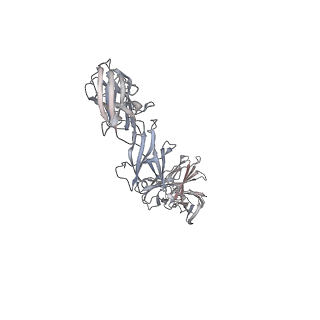 15678_8avc_B_v1-1
Mouse leptin:LEP-R complex cryoEM structure (3:3 model)