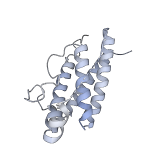 15678_8avc_C_v1-1
Mouse leptin:LEP-R complex cryoEM structure (3:3 model)