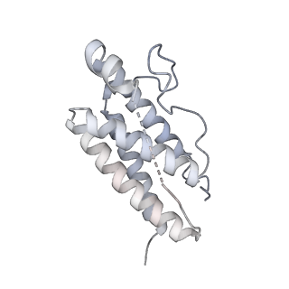 15678_8avc_E_v1-1
Mouse leptin:LEP-R complex cryoEM structure (3:3 model)