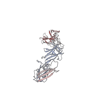 15678_8avc_F_v1-1
Mouse leptin:LEP-R complex cryoEM structure (3:3 model)