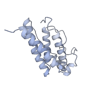 15679_8avd_A_v1-1
Cryo-EM structure for a 3:3 complex between mouse leptin and the mouse LEP-R ectodomain (local refinement)