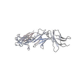 15679_8avd_B_v1-1
Cryo-EM structure for a 3:3 complex between mouse leptin and the mouse LEP-R ectodomain (local refinement)