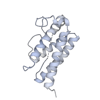 15679_8avd_C_v1-1
Cryo-EM structure for a 3:3 complex between mouse leptin and the mouse LEP-R ectodomain (local refinement)