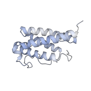 15679_8avd_E_v1-1
Cryo-EM structure for a 3:3 complex between mouse leptin and the mouse LEP-R ectodomain (local refinement)