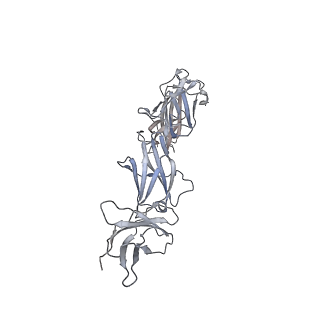 15679_8avd_F_v1-1
Cryo-EM structure for a 3:3 complex between mouse leptin and the mouse LEP-R ectodomain (local refinement)