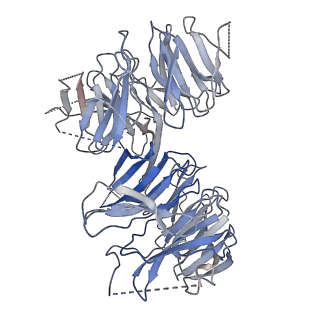 15682_8avg_A_v1-2
Cryo-EM structure of mouse Elp123 with bound SAM