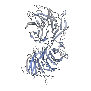 15682_8avg_B_v1-2
Cryo-EM structure of mouse Elp123 with bound SAM