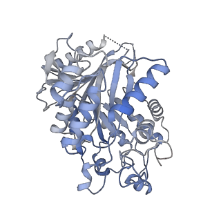 15682_8avg_C_v1-2
Cryo-EM structure of mouse Elp123 with bound SAM