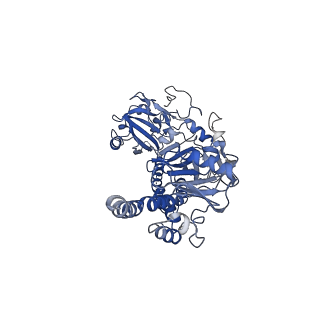 15684_8avv_A_v1-1
Cryo-EM structure of DrBphP photosensory module in Pr state