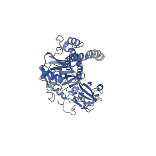 15684_8avv_B_v1-1
Cryo-EM structure of DrBphP photosensory module in Pr state