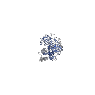 15685_8avw_A_v1-1
Cryo-EM structure of DrBphP in Pr state