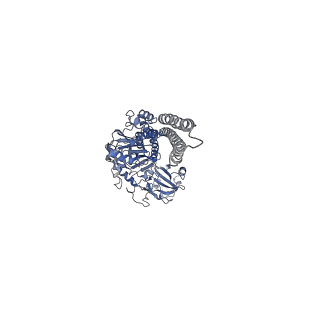 15685_8avw_B_v1-1
Cryo-EM structure of DrBphP in Pr state
