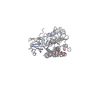 15686_8avx_A_v1-1
Cryo-EM structure of DrBphP in Pfr state