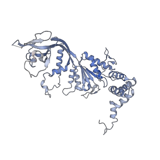 4278_8av6_B_v1-1
CryoEM structure of INO80 core nucleosome complex in closed grappler conformation