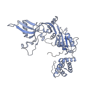 4278_8av6_E_v1-1
CryoEM structure of INO80 core nucleosome complex in closed grappler conformation