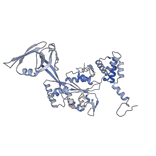 4278_8av6_F_v1-1
CryoEM structure of INO80 core nucleosome complex in closed grappler conformation