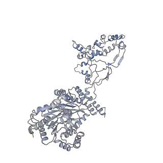 4278_8av6_G_v1-1
CryoEM structure of INO80 core nucleosome complex in closed grappler conformation