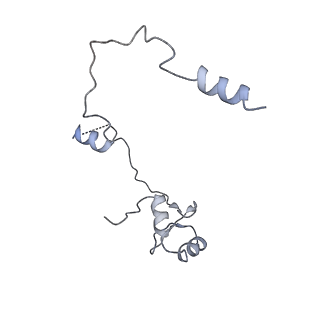 4278_8av6_I_v1-1
CryoEM structure of INO80 core nucleosome complex in closed grappler conformation