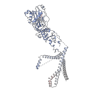 4278_8av6_J_v1-1
CryoEM structure of INO80 core nucleosome complex in closed grappler conformation