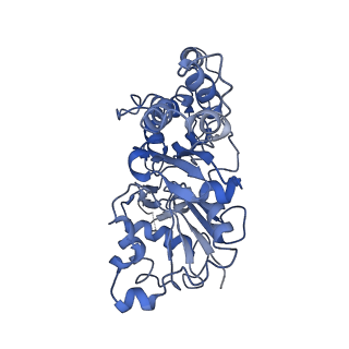 7007_6av9_C_v1-2
CryoEM structure of Mical Oxidized Actin (Class 1)