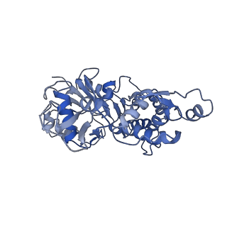 7008_6avb_A_v1-1
CryoEM structure of Mical Oxidized Actin (Class 1)