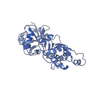 7008_6avb_B_v1-1
CryoEM structure of Mical Oxidized Actin (Class 1)