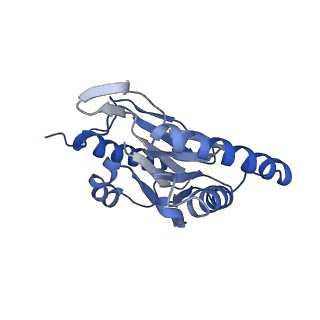 7010_6avo_A_v1-1
Cryo-EM structure of human immunoproteasome with a novel noncompetitive inhibitor that selectively inhibits activated lymphocytes